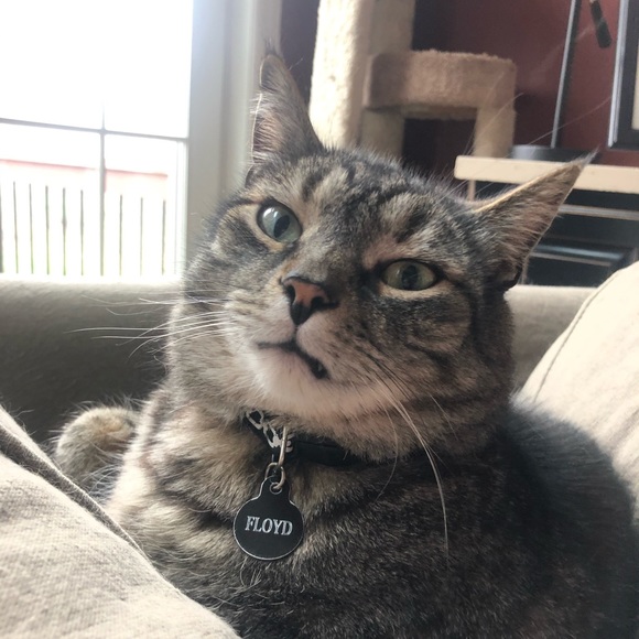 Meet your Posher, S - Picture 1 of 1